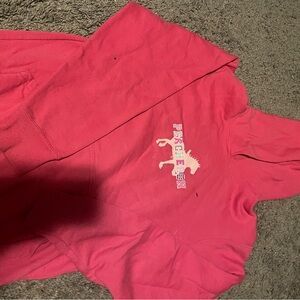Kids Pink Hoodie with horse Print